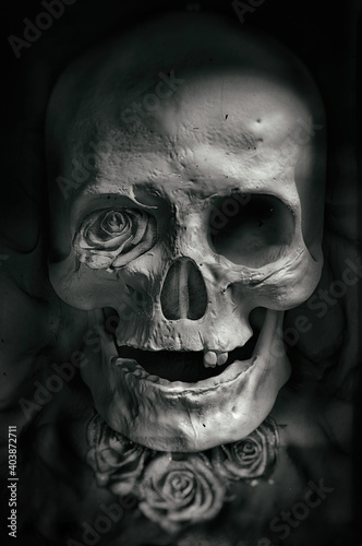 Vertical illustration of a human skull on a black background photo