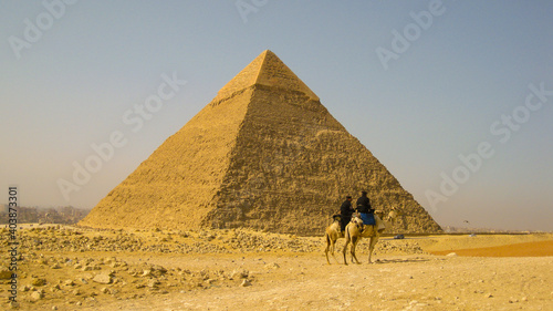 Chameaux devant une pyramide d Egypte