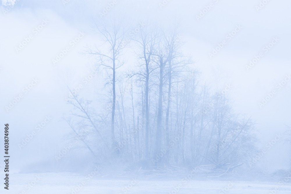A cold winter storm above the Skagit river in Washington state A cold winter storm above the Skagit river in Washington state