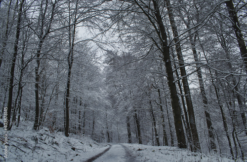 Winterweg Landschaft