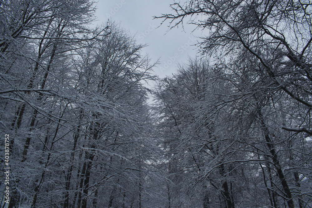 Landschaft Winter Landschaft Winter
