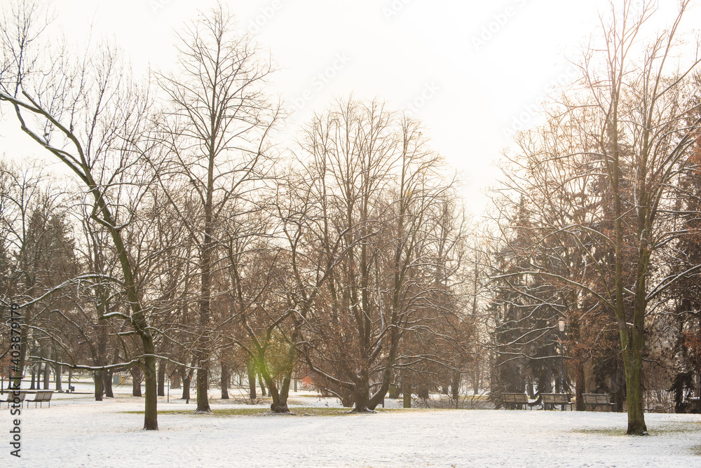 Fototapeta premium Snowing day on Prague. People walk on Park Letna while tram travel through the city, close to Hradcanska in Prague 6