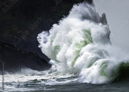 A large wave crashes on the pacific northwest coast. PNW life.