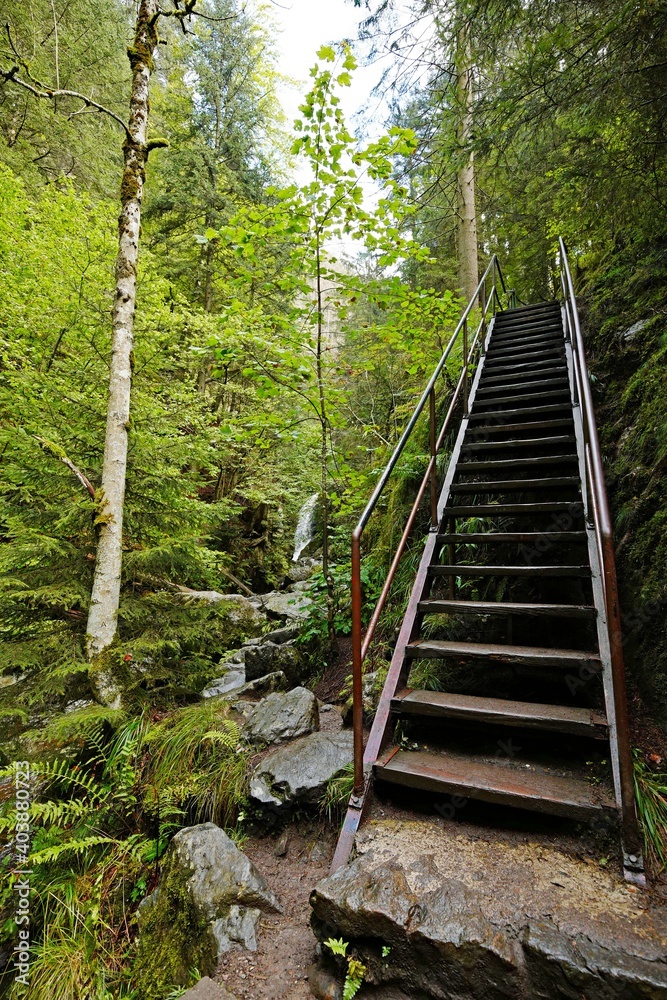 Fototapeta premium Ravennaschlucht Fußweg über Treppe