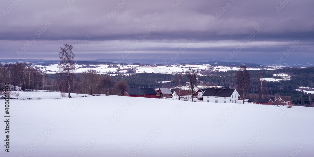 view of the rural landscape of toten, norway, in winter