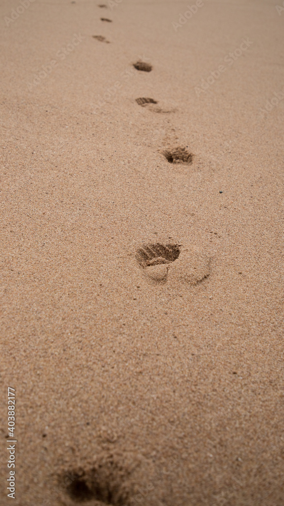 Footprints in the sand of the Indian Ocean. Footprints in the sand of the Indian Ocean.
