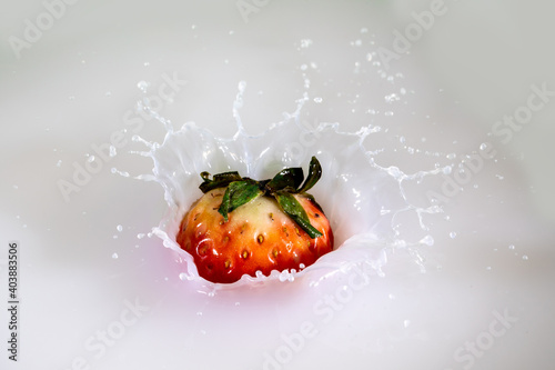 Obraz na płótnie strawberry falling into milk healthy vegan fruit food w salonie