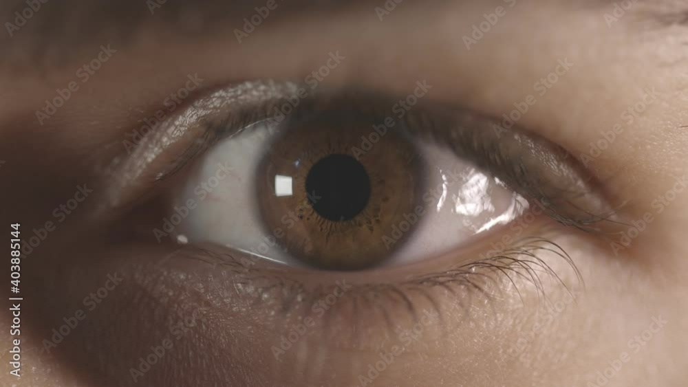 Macro detail of a brown eye with long lashes. Opening and closing of the eye. Pupil dilation reaction to light.