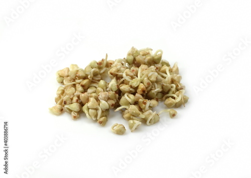 Buckwheat sprouts isolated on white background. Germinated buckwheat isolated.