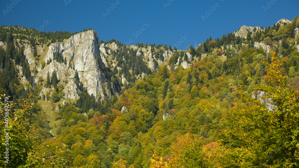 The vertical crests of Buila Mountains rising above the yellow colored beech forests. The calcareous cliffs are sharp and steep. Autumn season, Carpathia, Romania. The vertical crests of Buila Mountains rising above the yellow colored beech forests. The calcareous cliffs are sharp and steep. Autumn season, Carpathia, Romania.