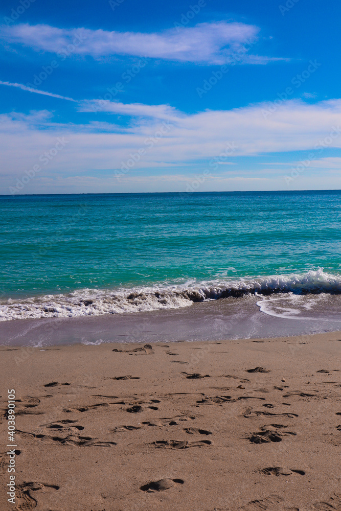 Beach Life Beach Life