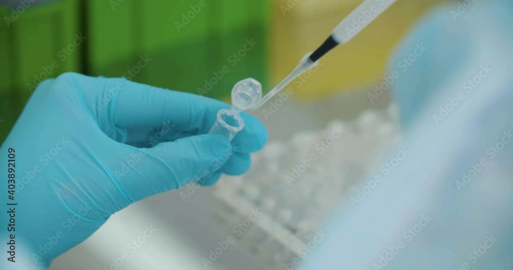 Laboratory assistant is working with DNA samples Laboratory assistant is working with DNA samples