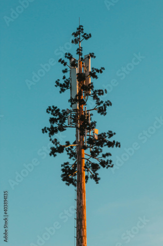 Antenna in desguise