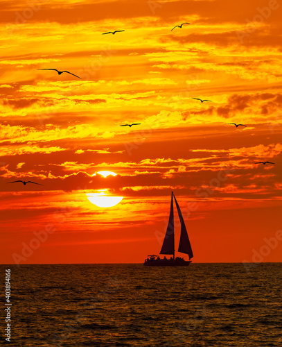 Sunset Ocean Sailboat Birds Vertical