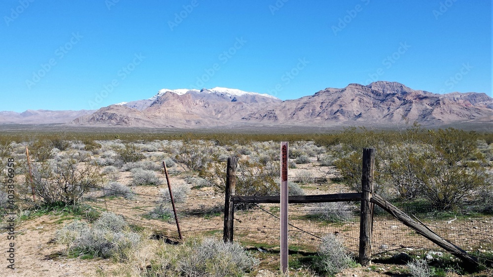 fence in the desert
fence in the desert