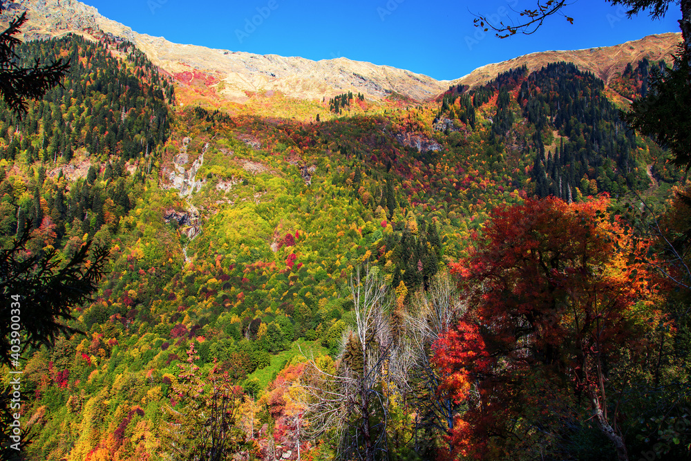 Mountain pass Pyv in Abkhazia. Magnificent autumn landscape.