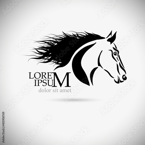 Horse face. Tattoo. Vector illustration
