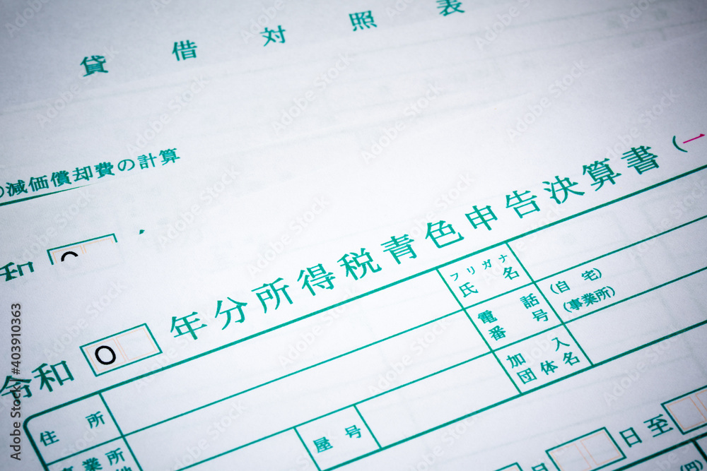 青色申告決算書(確定申告イメージ) 青色申告決算書(確定申告イメージ)