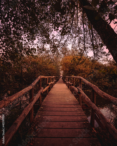 Vertical shot of an old bridge over the river in an autumn pa photo