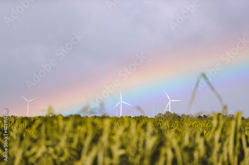 Rainbow over Kawailoa Wind Farm, North Shore of Oahu, Hawaii. A rainbow is an optical phenomenon that can occur under certain meteorological conditions.