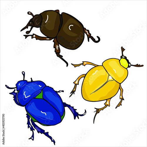Vector freehand illustration of a set of colorful emerald beetles, May beetles isolated on white background.
Insect blank for designers, logo, icon, print,