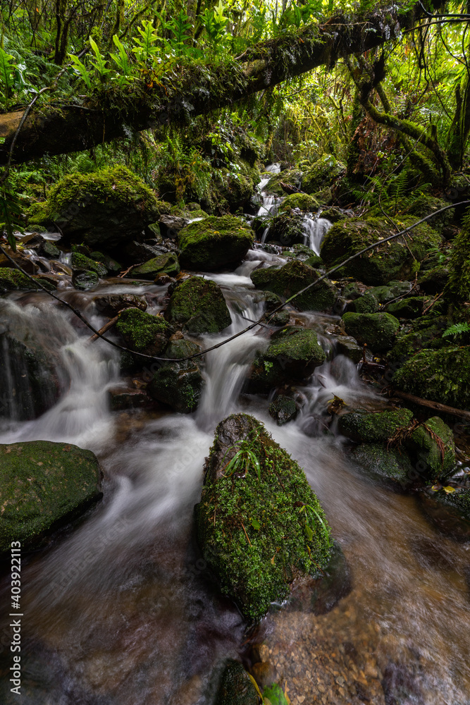 A long exposure of a New Zealand waterfall and river in the Tararua ranges A long exposure of a New Zealand waterfall and river in the Tararua ranges