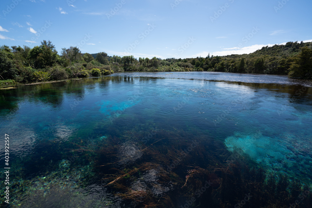 Te Waikoropupu Springs and clear blue pools in New Zealand also known as Pupu springs