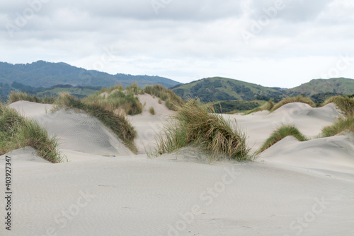Sand Dunes on Farewell Spit in Golden Bay New Zealand