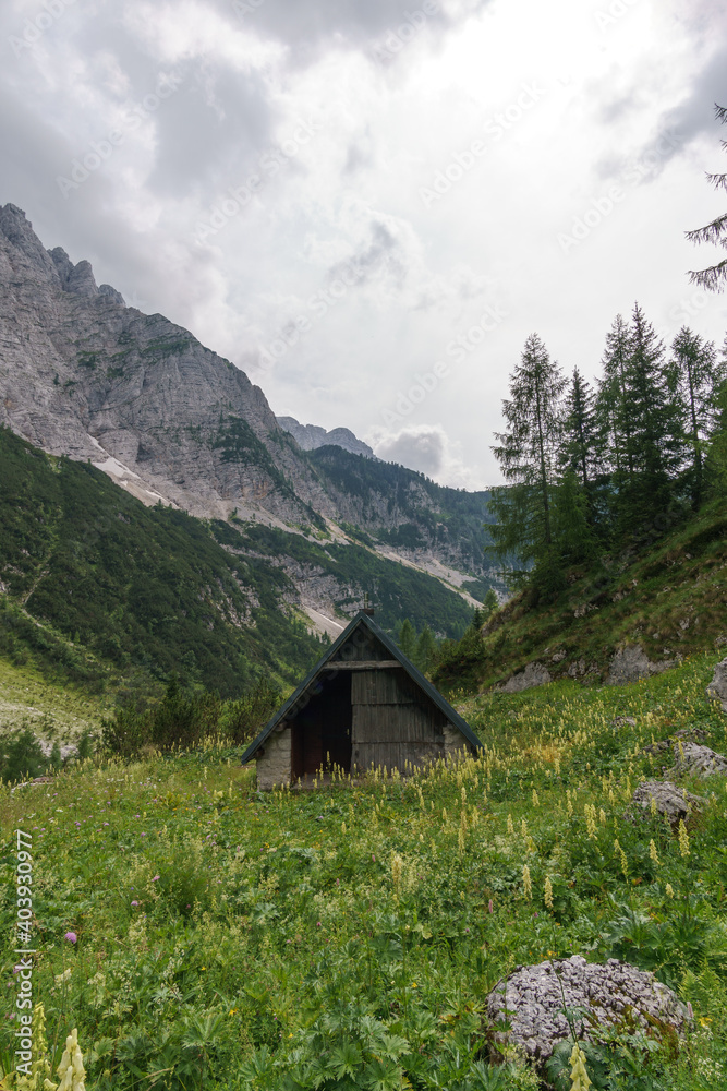 Idyllic alpine barn on meadow in slovenian alps