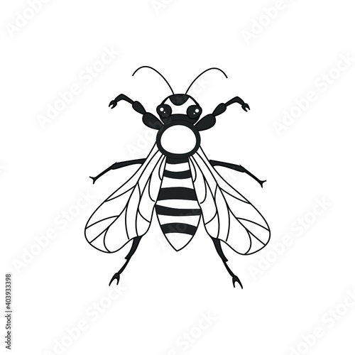 Vector illustration of bee isolated on white background.