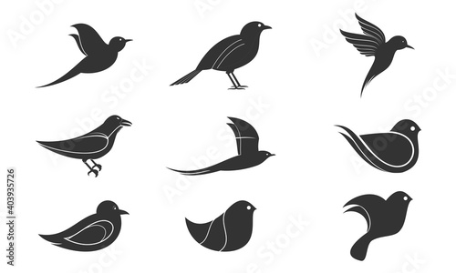 Bird animal set illustration vector © tira