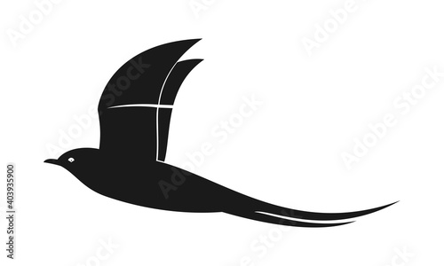 Flying bird illustration vector