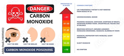 CO level chest pain loss of consciousness gas death cherry red skin cyanide toxicity motor car fuel  methylene chloride blood prevent alarm oxygen toxic harmful danger device detect safety silent leak