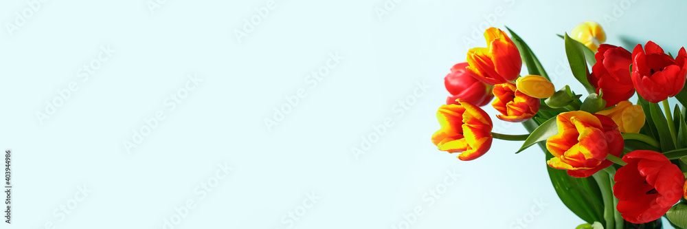 Yellow red tulips on pastel blue background. Happy spring holidays. Birthday, Easter, Mother's day, Valentines, Women's day, Wedding concept. Festive holidays card, invitation banner. Copy space Yellow red tulips on pastel blue background. Happy spring holidays. Birthday, Easter, Mother's day, Valentines, Women's day, Wedding concept. Festive holidays card, invitation banner. Copy space