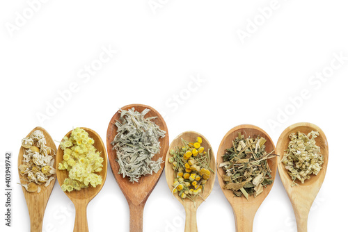 Spoons with different herbs on white background