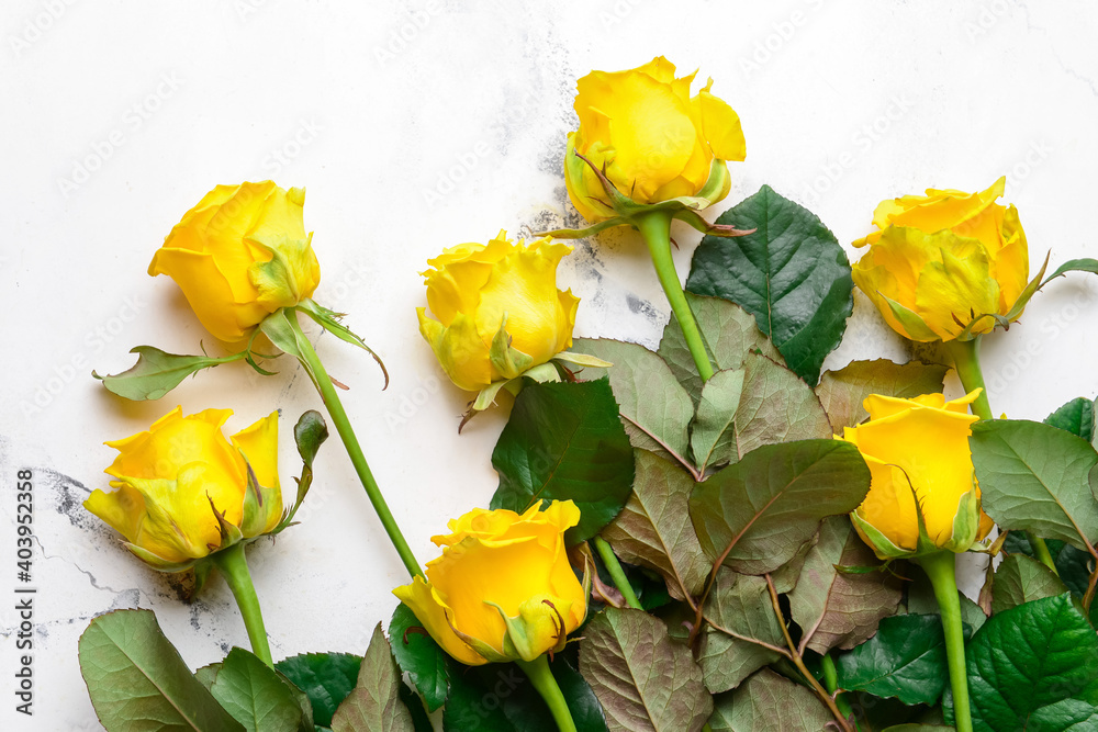 Beautiful yellow roses on light background Beautiful yellow roses on light background