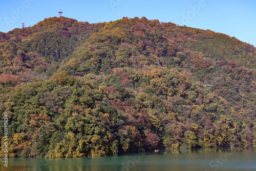 津久井湖の紅葉（神奈川県相模原市緑区）