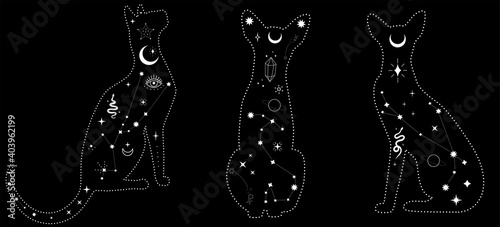 Set of black magical cats, Mystic Sphynx cat with crescent moon esoteric symbol, constellation, stars and magical elements. Magical cat,witchy black cat
