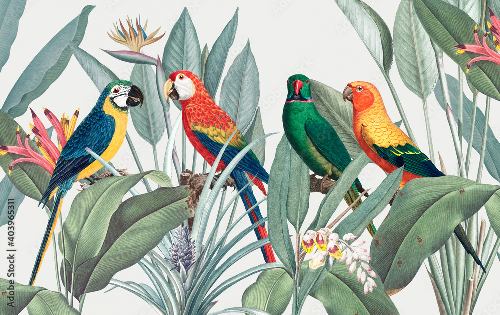 Colorful macaws with tropical background illustration - obrazy, fototapety, plakaty 