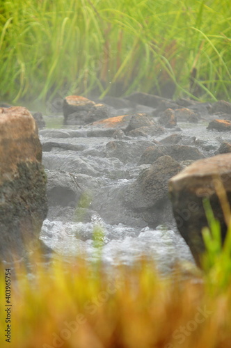 Natur Bach