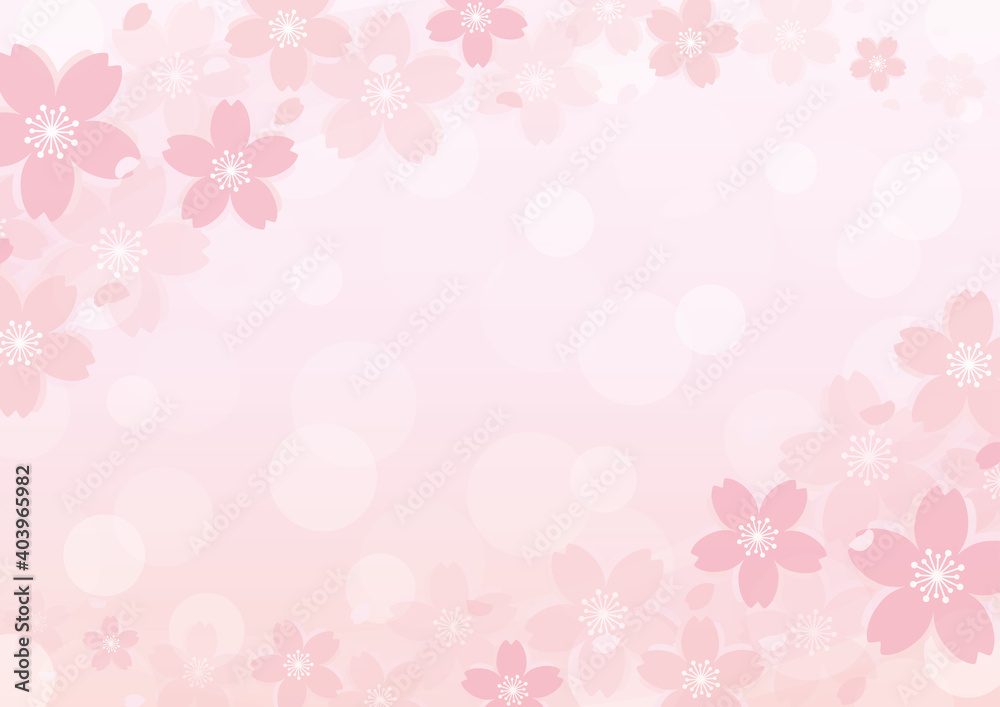 淡くて優しい桜の背景　フレーム　A3横　Cherry blossoms frame background
