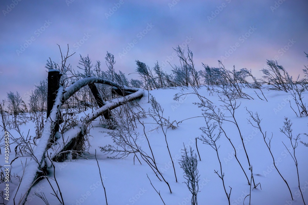 Fototapeta premium Tranquil morning winter landscape with an old wooden hedge on a hillside against a cloudy sky backlit by the rising sun. Rural scene