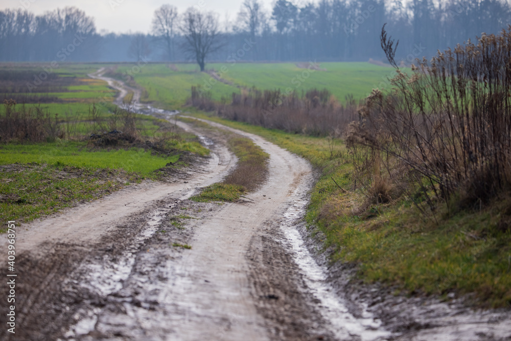 Dirt road through an autumn landscape with fields, Muddy road through green fields, last snow, horizon Dirt road through an autumn landscape with fields, Muddy road through green fields, last snow, horizon