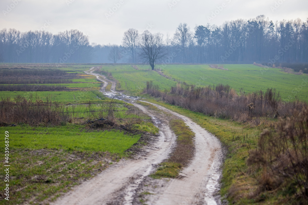 Dirt road through an autumn landscape with fields, Muddy road through green fields, last snow, horizon