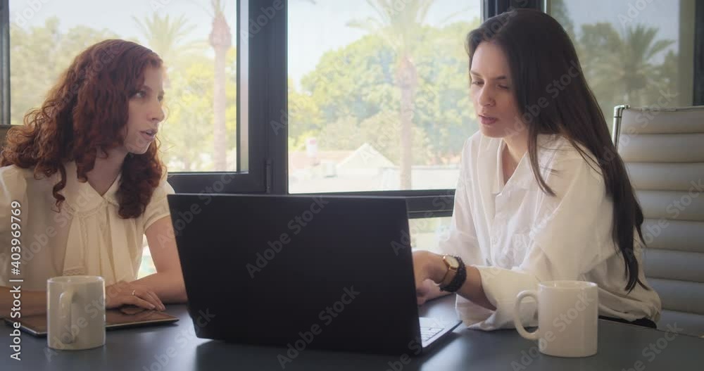 Two women having a business meeting, working on a laptop at the office. Two women having a business meeting, working on a laptop at the office.