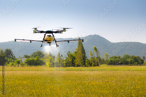 Obraz na plátně Modern smart farm with drone