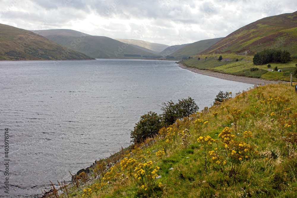 A view up Megget Reservoir in the Southern Uplands, Scottish Borders, Scotland, UK.