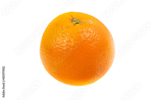 orange on a white background. macro photo