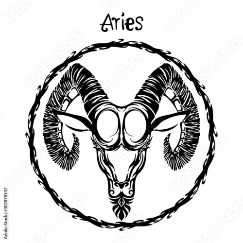 Aries zodiac sign design form illustration doodle drawing tattoo and  freehand typography style vector with white background 