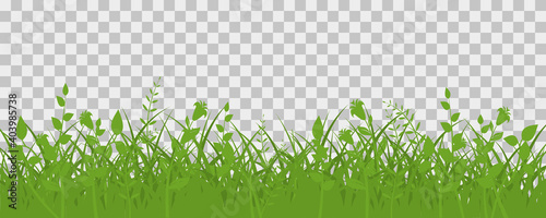 Green grass meadow border. Spring plant field lawn. Grass background.